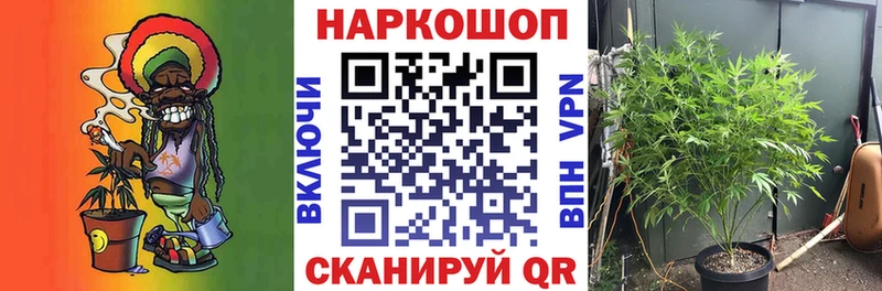 Наркошоп купить А ПВП Амфетамин ГАШИШ Бутират Меф мяу мяу Петухово