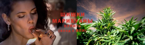 spice Зеленодольск