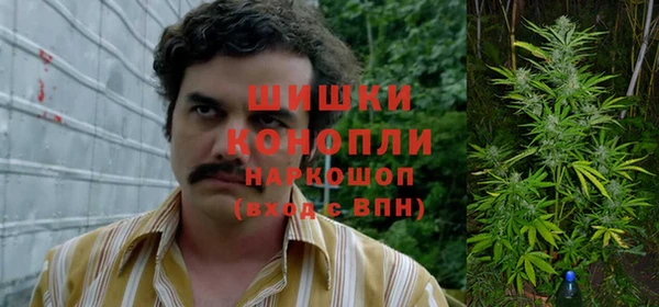 spice Зеленодольск